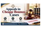 Why Hire a Lawyer for Appeals in Cheque Bounce Cases in India?