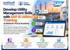 Develop Utility Management Skills with SAP IS Utilities Training at MVA