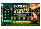 Lotus365 App – Mobile Navigation, Digital Features, and Device Support