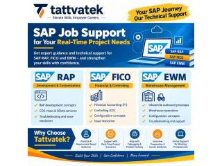 SAP ABAP Training and Certification Guidance | Tattvatek Hyderabad