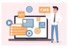  Headless CMS Alternatives: Comparing Strapi, Headless BigCommerce & Headless WordPress