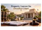 Facing a property dispute or ownership conflict in Dwarka, Delhi?