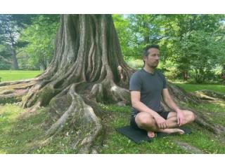Unlock Your Potential Through a Powerful Metamorphosis Journey