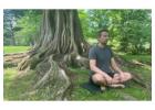 Unlock Your Potential Through a Powerful Metamorphosis Journey