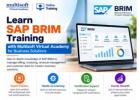 Learn SAP BRIM Training with Multisoft Virtual Academy for Business Solutions
