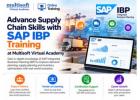 Advance Supply Chain Skills with SAP IBP Training at Multisoft Virtual Academy