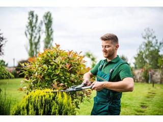 Transform Your Property with Landscaping and Outdoor Construction in Salisbury
