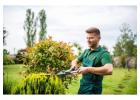 Transform Your Property with Landscaping and Outdoor Construction in Salisbury